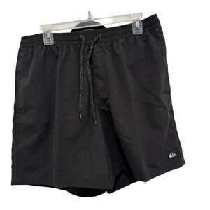 Quiksilver Men's Everyday Solid Volley Swim Trunk/Board Shorts (XL)